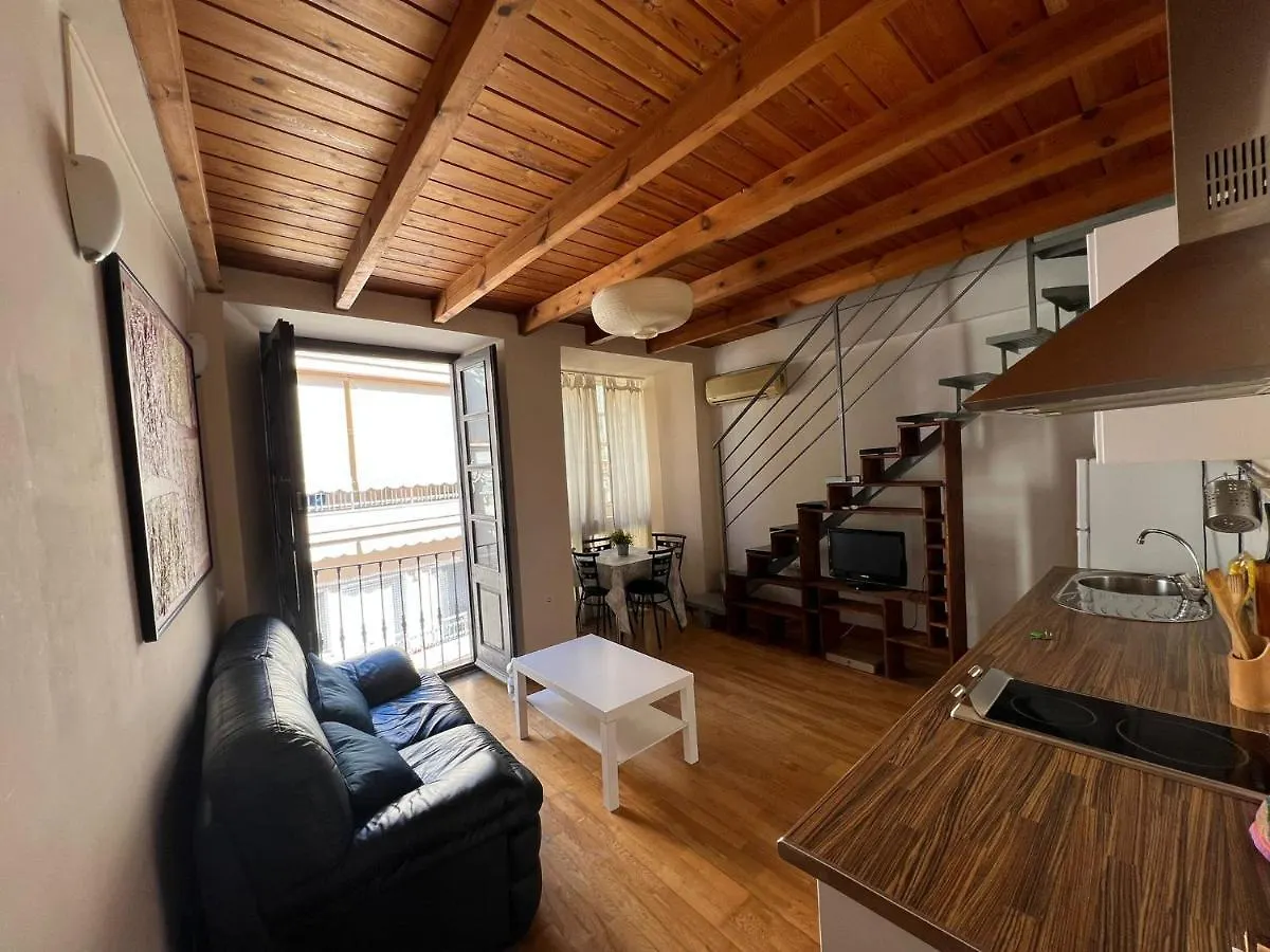 Duplex Luxury Carreteria Apartment Malaga
